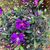 Wilda Johnston's profile image