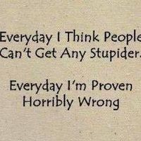 Eve McKettrick's profile image