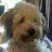 Tracy Rumsey's profile image