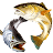 Captain David Alphonso's profile image