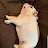 Shay R's profile image