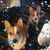 Marlene Judson's profile image
