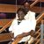 Phillip Spearman's profile image