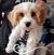 Shelley Stegman's profile image