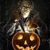 Stacey Perrett's profile image