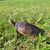 Brandy Schnelker's profile image
