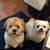 Nancy L. Strang's profile image