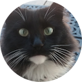 Teresa Bowman's Profile Image