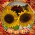 Susan Nardi's profile image