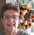 Nora Daubenspeck's profile image