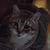 Wendy Linder's profile image
