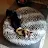 Fubu The Rat Terrier's profile image