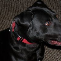Tom Gillenwater's profile image