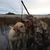 Valerie Rose Cornish's profile image