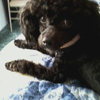 Dayton Musick's profile image