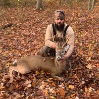 Matt Bowman's profile image