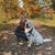 Gillian Wright's profile image