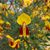 Jennifer Schouten's profile image