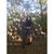 Kristen Rose's profile image