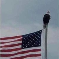 Bobby Phillips's profile image