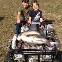 Brad Waddell's profile image