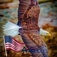Tammy Griffin Ware's profile image