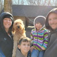 Anthony Cesario's profile image