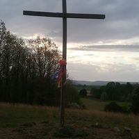 Chuck Hopkins's profile image