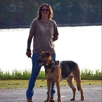 Karen White's profile image