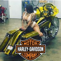 Bug Hazlett's profile image