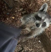 Michelle R. Aalders's profile image