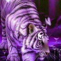 Tonya Abraham's profile image