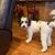 Judy Sears Norris's profile image