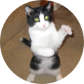 William Evans's Profile Image