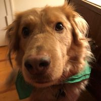 Aerdna Milewpandrea's profile image
