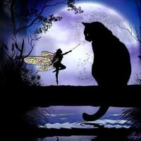 Annie Bell's profile image