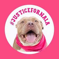 Sadie Locke's profile image