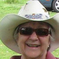 Pauline Wardle's profile image