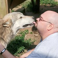 Richard Rahl's profile image