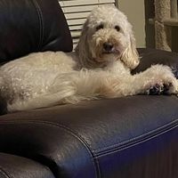 Bridget Ripley's profile image