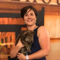 Louise Barrett's profile image