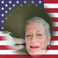 Pam Brammer's profile image