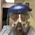David Greenberg's profile image