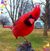 Grace Brown's profile image
