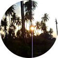 Tim Rann's Profile Image