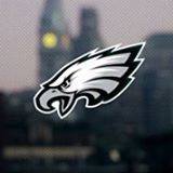 Steve Piccirelli's Profile Image