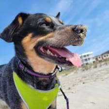 Heather's profile image