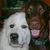 Leslie Henderson's profile image