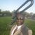 Vince Iyk Emeziem's profile image