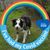 Maureen Reid's profile image